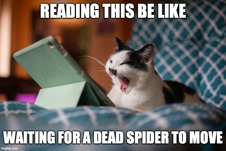 Reading This Be Like | READING THIS BE LIKE; WAITING FOR A DEAD SPIDER TO MOVE | image tagged in boring,bored,im bored | made w/ Imgflip meme maker