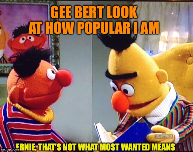 Ernie’s Troubling Past | GEE BERT LOOK AT HOW POPULAR I AM; ERNIE, THAT’S NOT WHAT MOST WANTED MEANS | image tagged in bert and ernie | made w/ Imgflip meme maker