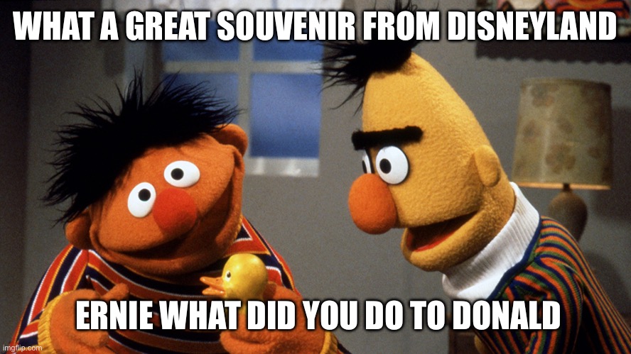 Donald Duck | WHAT A GREAT SOUVENIR FROM DISNEYLAND; ERNIE WHAT DID YOU DO TO DONALD | image tagged in ernie and bert discuss rubber duckie | made w/ Imgflip meme maker