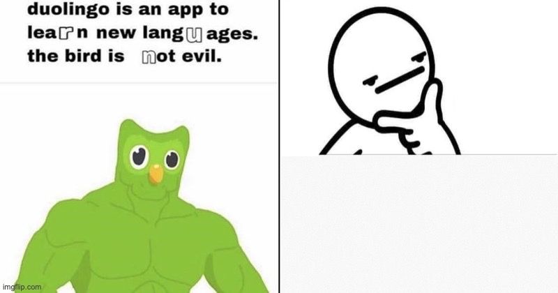 image title | image tagged in duolingo bird | made w/ Imgflip meme maker