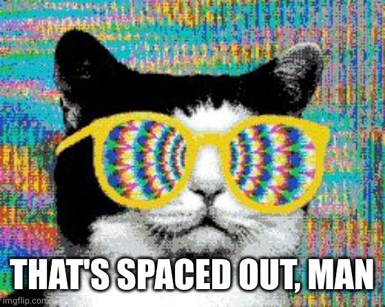 psychedelic cat | THAT'S SPACED OUT, MAN | image tagged in psychedelic cat | made w/ Imgflip meme maker