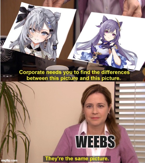 They're The Same Picture Meme |  WEEBS | image tagged in memes,they're the same picture,weebs,anime,vtuber,genshin impact | made w/ Imgflip meme maker