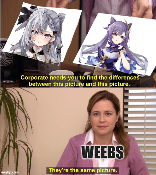 They're The Same Picture Meme | WEEBS | image tagged in memes,they're the same picture,weebs,anime,vtuber,genshin impact | made w/ Imgflip meme maker