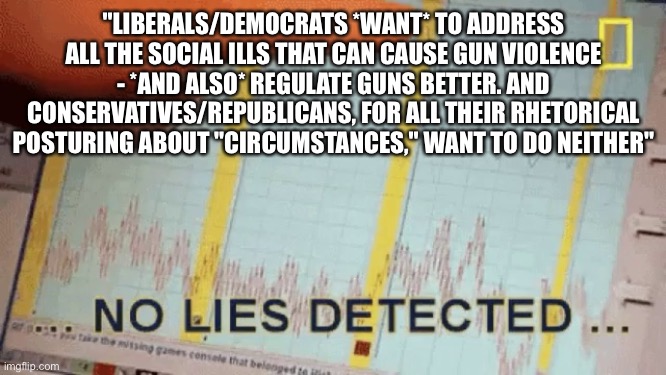 No lies detected | "LIBERALS/DEMOCRATS *WANT* TO ADDRESS ALL THE SOCIAL ILLS THAT CAN CAUSE GUN VIOLENCE - *AND ALSO* REGULATE GUNS BETTER. AND CONSERVATIVES/R | image tagged in no lies detected | made w/ Imgflip meme maker