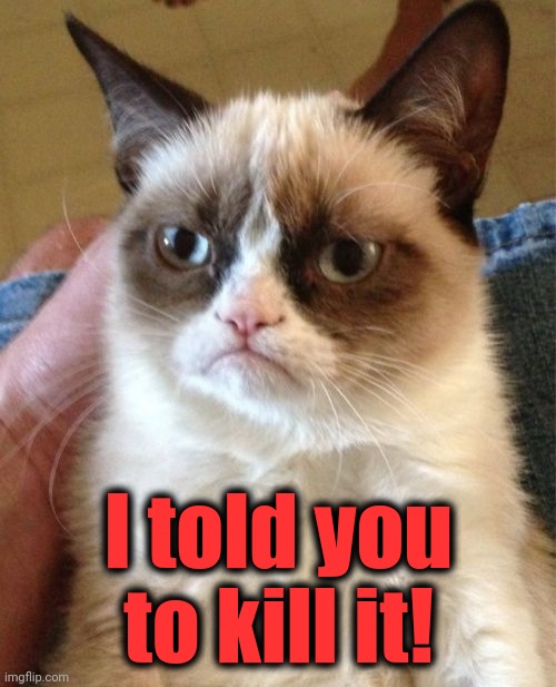 Grumpy Cat Meme | I told you to kill it! | image tagged in memes,grumpy cat | made w/ Imgflip meme maker