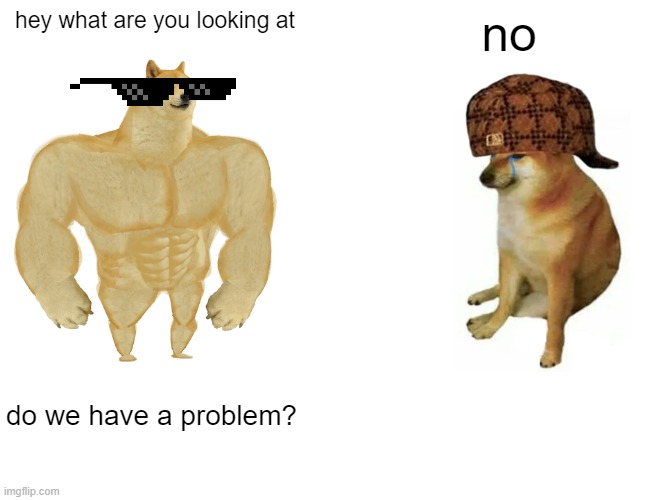 Buff Doge vs. Cheems | hey what are you looking at; no; do we have a problem? | image tagged in memes,buff doge vs cheems | made w/ Imgflip meme maker