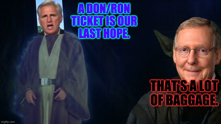 A DON/RON
TICKET IS OUR
LAST HOPE. THAT'S A LOT
OF BAGGAGE. | made w/ Imgflip meme maker