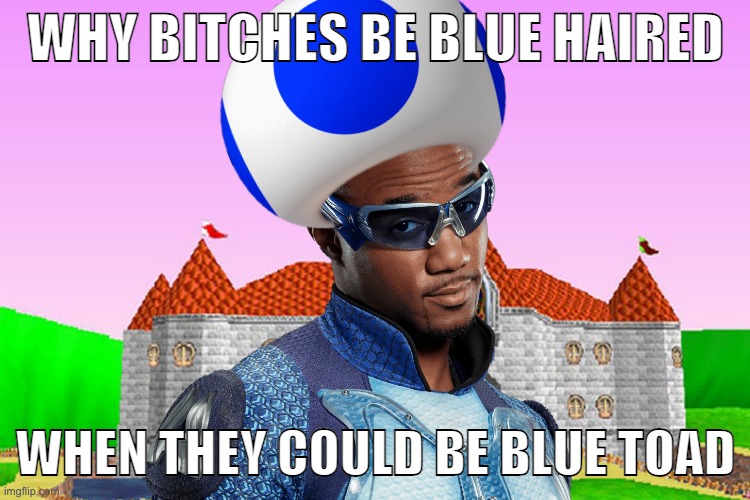 riddle me this | WHY BITCHES BE BLUE HAIRED; WHEN THEY COULD BE BLUE TOAD | made w/ Imgflip meme maker