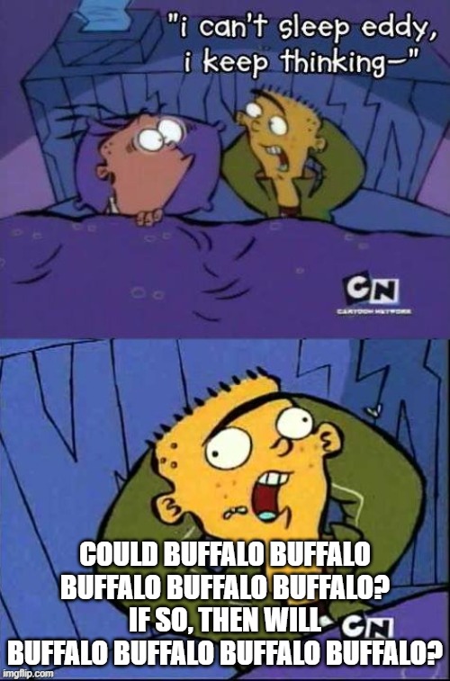 when buffalo can have 3 different meanings: | COULD BUFFALO BUFFALO BUFFALO BUFFALO BUFFALO? IF SO, THEN WILL BUFFALO BUFFALO BUFFALO BUFFALO? | image tagged in i can't sleep eddy | made w/ Imgflip meme maker