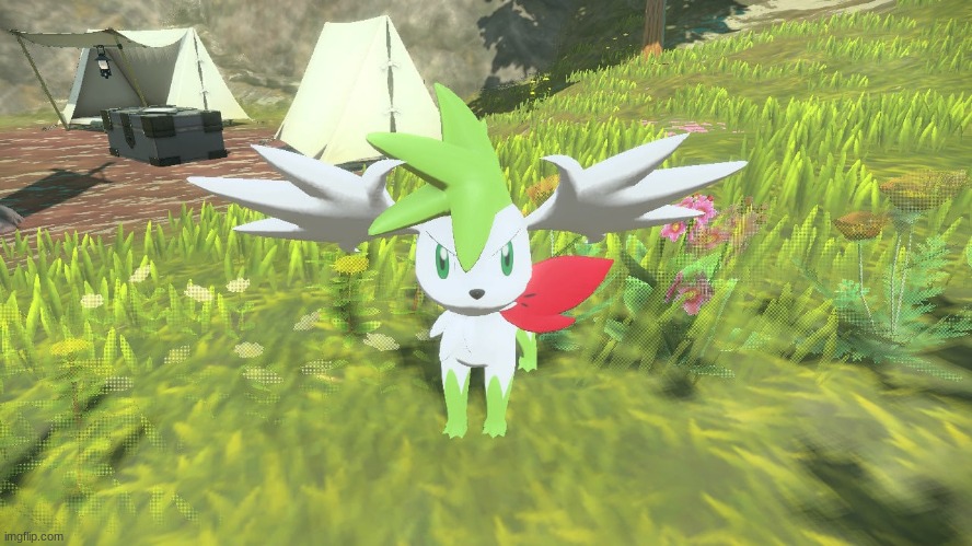 Shaymin sky form | image tagged in shaymin,grass flying,pokemon | made w/ Imgflip meme maker