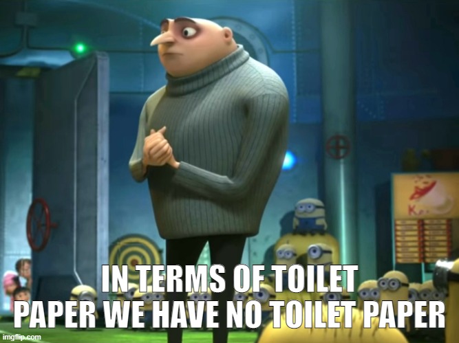 In terms of money, we have no money | IN TERMS OF TOILET PAPER WE HAVE NO TOILET PAPER | image tagged in in terms of money we have no money | made w/ Imgflip meme maker