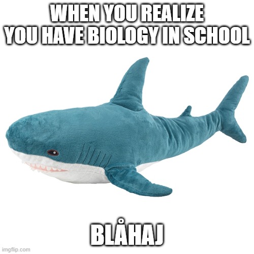 blåhaj | WHEN YOU REALIZE YOU HAVE BIOLOGY IN SCHOOL; BLÅHAJ | image tagged in bl haj | made w/ Imgflip meme maker