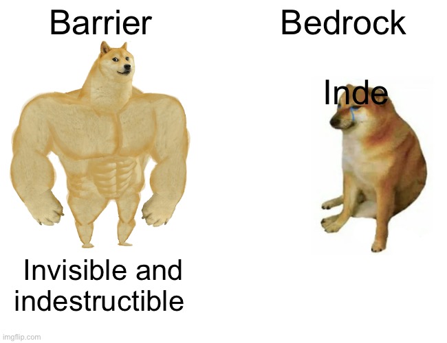 Buff Doge vs. Cheems | Barrier; Bedrock; Indestructible; Invisible and indestructible | image tagged in memes,buff doge vs cheems | made w/ Imgflip meme maker
