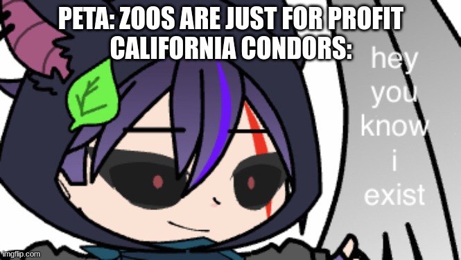 Their species was saved by zoos | PETA: ZOOS ARE JUST FOR PROFIT
CALIFORNIA CONDORS: | image tagged in hey you know i exist,peta | made w/ Imgflip meme maker