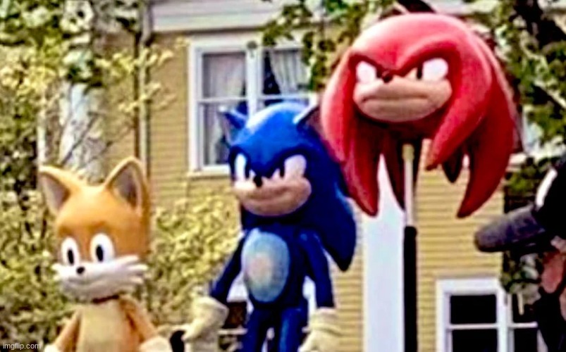 Aw yeah, Tails! We decapitated Knuckles! WOOHOO! | image tagged in sonic the hedgehog,knuckles | made w/ Imgflip meme maker