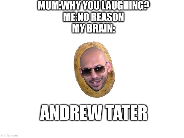 andrew tater... | MUM:WHY YOU LAUGHING?
ME:NO REASON
MY BRAIN:; ANDREW TATER | image tagged in andrew tate,funny,potato,my brain,why are you reading the tags | made w/ Imgflip meme maker