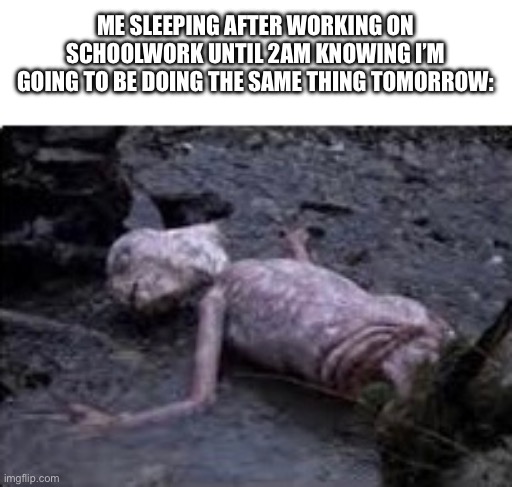 *sighs* | ME SLEEPING AFTER WORKING ON SCHOOLWORK UNTIL 2AM KNOWING I’M GOING TO BE DOING THE SAME THING TOMORROW: | image tagged in please help me,et dead,relatable | made w/ Imgflip meme maker