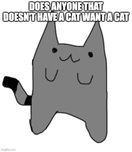 C A T S | DOES ANYONE THAT DOESN'T HAVE A CAT WANT A CAT | image tagged in e | made w/ Imgflip meme maker
