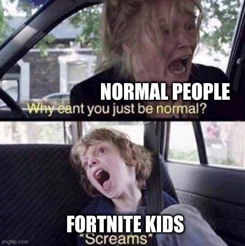 yryrethtrhd | NORMAL PEOPLE; FORTNITE KIDS | image tagged in why can't you just be normal | made w/ Imgflip meme maker