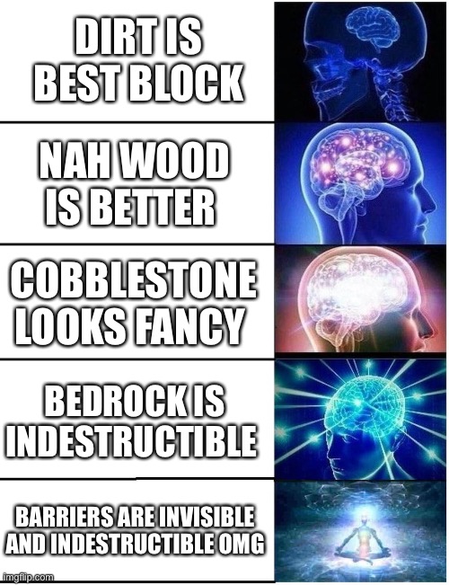 Expanding Brain 5 Panel |  DIRT IS BEST BLOCK; NAH WOOD IS BETTER; COBBLESTONE LOOKS FANCY; BEDROCK IS INDESTRUCTIBLE; BARRIERS ARE INVISIBLE AND INDESTRUCTIBLE OMG | image tagged in expanding brain 5 panel | made w/ Imgflip meme maker