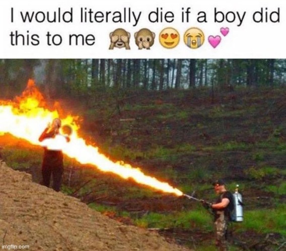 I would literally die if a boy did this to me | image tagged in i would literally die if a boy did this to me | made w/ Imgflip meme maker