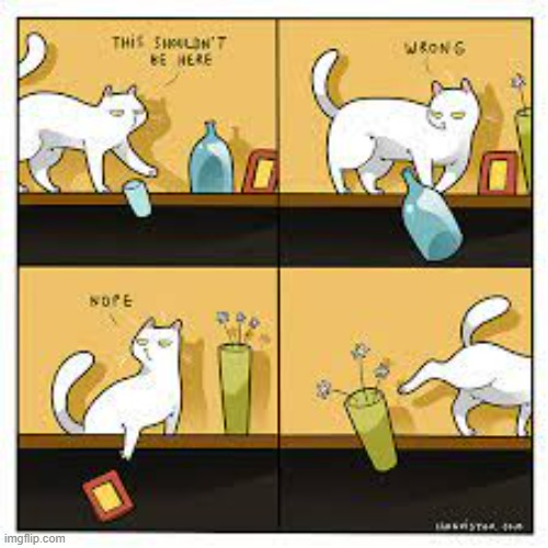 A Cat's Way Of Thinking | image tagged in memes,comics,cats,you shouldn't be here neither should you,wrong,nope | made w/ Imgflip meme maker