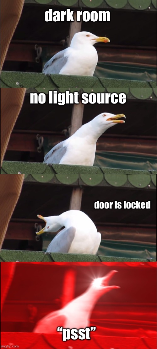 Inhaling Seagull Meme | dark room; no light source; door is locked; “psst” | image tagged in memes,inhaling seagull | made w/ Imgflip meme maker