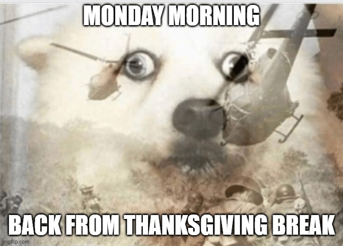 Monday back from Thanksgiving break | MONDAY MORNING; BACK FROM THANKSGIVING BREAK | image tagged in ptsd dog,thanksgiving,monday,holiday,break | made w/ Imgflip meme maker