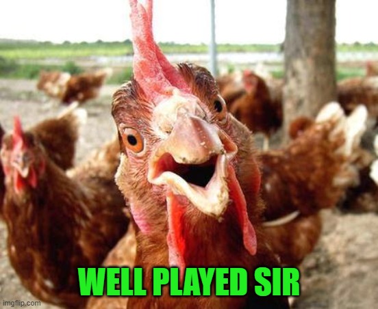 Chicken | WELL PLAYED SIR | image tagged in chicken | made w/ Imgflip meme maker