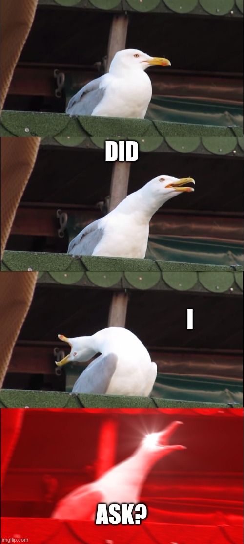 Inhaling Seagull | DID; I; ASK? | image tagged in memes,inhaling seagull | made w/ Imgflip meme maker