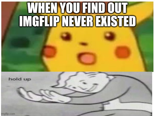 Hmmmm... | WHEN YOU FIND OUT IMGFLIP NEVER EXISTED | image tagged in fallout hold up,surprised pikachu | made w/ Imgflip meme maker