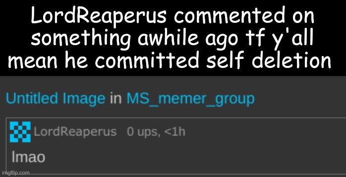 LordReaperus commented on something awhile ago tf y'all mean he committed self deletion | made w/ Imgflip meme maker