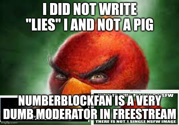 Facts(Not Meant To Hurt NumberBlockFan.) | I DID NOT WRITE "LIES" I AND NOT A PIG; NUMBERBLOCKFAN IS A VERY DUMB MODERATOR IN FREESTREAM | image tagged in realistic red angry birds | made w/ Imgflip meme maker