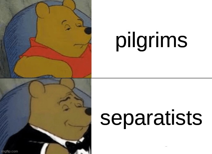 Tuxedo Winnie The Pooh Meme | pilgrims; separatists | image tagged in memes,tuxedo winnie the pooh | made w/ Imgflip meme maker