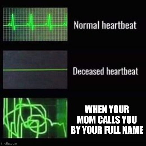 vbnm,nhgfdsa | WHEN YOUR MOM CALLS YOU BY YOUR FULL NAME | image tagged in heartbeat rate | made w/ Imgflip meme maker