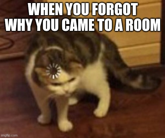 dsfghjgfdsa | WHEN YOU FORGOT WHY YOU CAME TO A ROOM | image tagged in loading cat | made w/ Imgflip meme maker