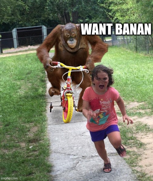 Orangutan chasing girl on a tricycle | WANT BANAN | image tagged in orangutan chasing girl on a tricycle | made w/ Imgflip meme maker