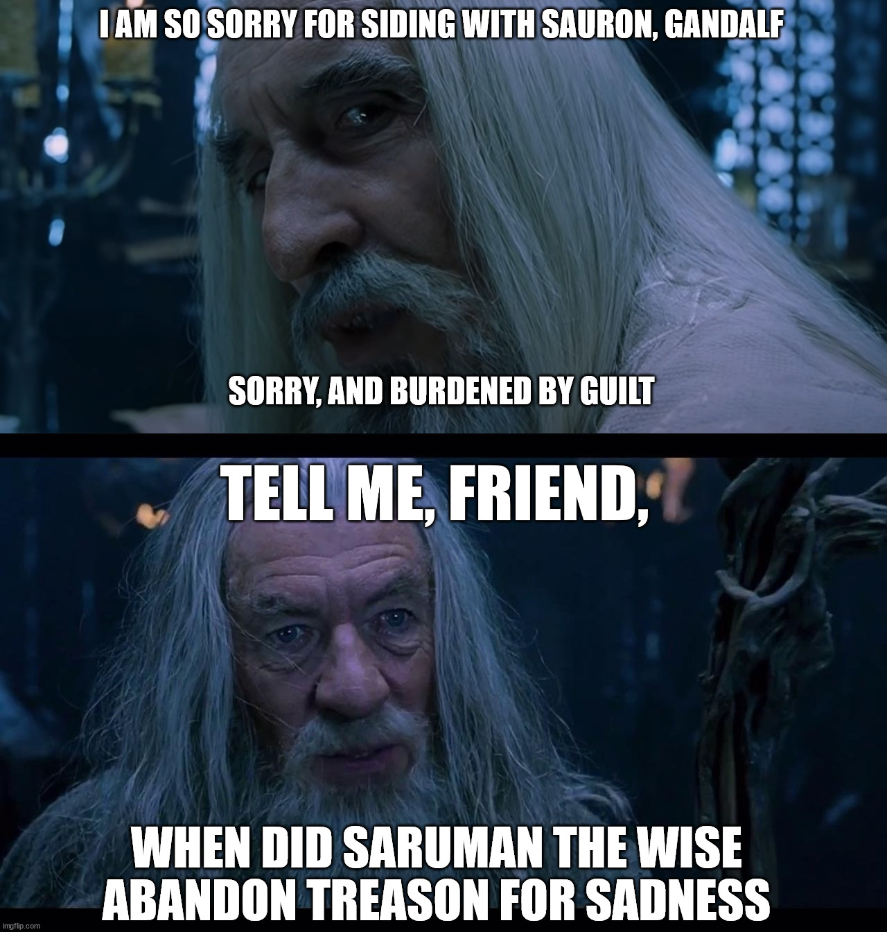 Sad Saruman | I AM SO SORRY FOR SIDING WITH SAURON, GANDALF; SORRY, AND BURDENED BY GUILT; TELL ME, FRIEND, WHEN DID SARUMAN THE WISE ABANDON TREASON FOR SADNESS | image tagged in saruman sou you have chosen death,gandalf madness for reason | made w/ Imgflip meme maker