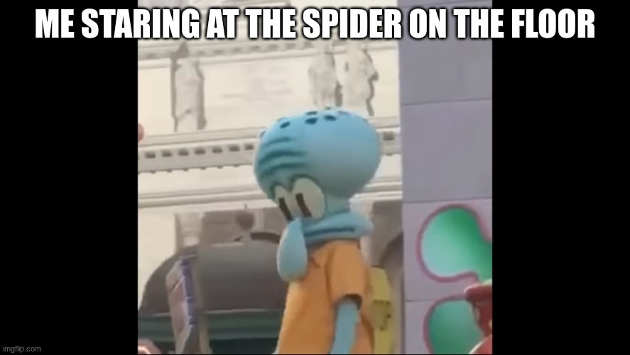 Introverted squidward | ME STARING AT THE SPIDER ON THE FLOOR | image tagged in introverted squidward | made w/ Imgflip meme maker