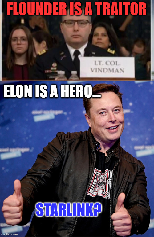 Flounder participated in a coup... | FLOUNDER IS A TRAITOR; ELON IS A HERO... STARLINK? | image tagged in elon musk thumbs up | made w/ Imgflip meme maker