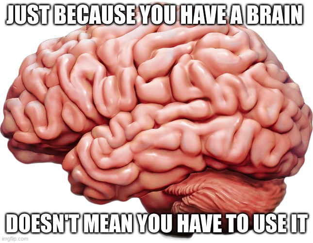 Brain | JUST BECAUSE YOU HAVE A BRAIN; DOESN'T MEAN YOU HAVE TO USE IT | image tagged in brain,funny,relatable | made w/ Imgflip meme maker