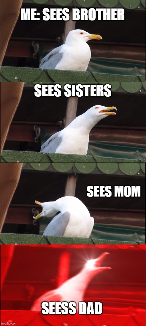 Inhaling Seagull | ME: SEES BROTHER; SEES SISTERS; SEES MOM; SEESS DAD | image tagged in memes,inhaling seagull | made w/ Imgflip meme maker