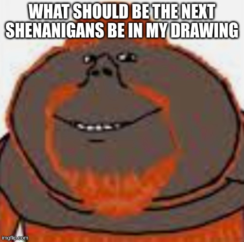 orangutanjak | WHAT SHOULD BE THE NEXT SHENANIGANS BE IN MY DRAWING | image tagged in orangutanjak | made w/ Imgflip meme maker