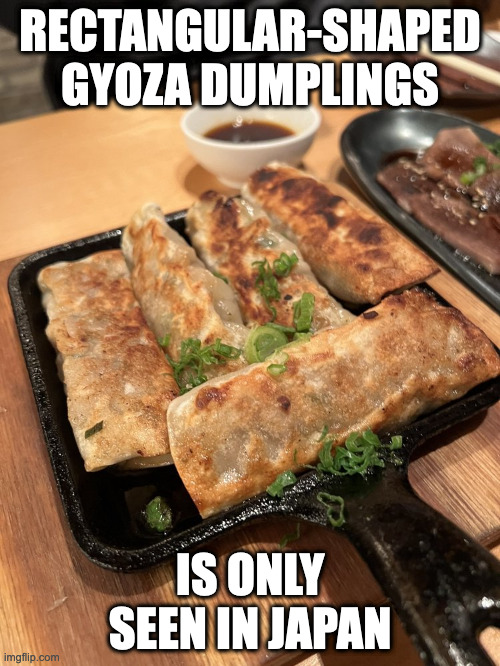 Rectangular Dumplings | RECTANGULAR-SHAPED GYOZA DUMPLINGS; IS ONLY SEEN IN JAPAN | image tagged in food,memes | made w/ Imgflip meme maker