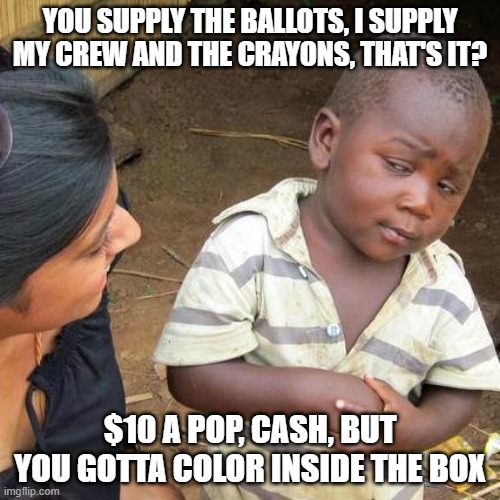 Third World Skeptical Kid | YOU SUPPLY THE BALLOTS, I SUPPLY MY CREW AND THE CRAYONS, THAT'S IT? $10 A POP, CASH, BUT YOU GOTTA COLOR INSIDE THE BOX | image tagged in memes,third world skeptical kid | made w/ Imgflip meme maker