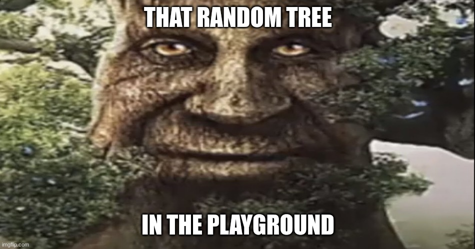 STARE | THAT RANDOM TREE; IN THE PLAYGROUND | image tagged in wise mystical tree | made w/ Imgflip meme maker