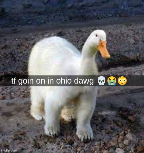 tf goin on in ohio dawg ??? | made w/ Imgflip meme maker