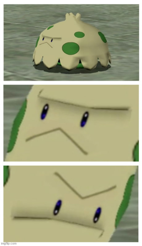 Angry Shroomish | image tagged in angry shroomish | made w/ Imgflip meme maker