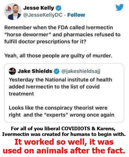 For all the liberals, COVIDIOTS, and Karens out there... | image tagged in stupid liberals,covidiots,karens,lemmings,science,ok karen | made w/ Imgflip meme maker
