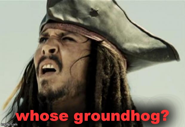 link pls | whose groundhog? | image tagged in confused dafuq jack sparrow what | made w/ Imgflip meme maker